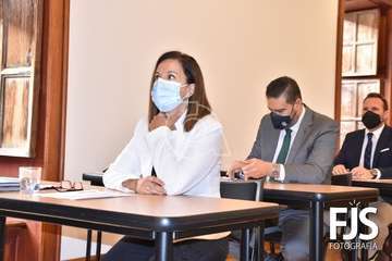 Pleno ordinario de diciembre de 2020/Francisco Javier Santana.